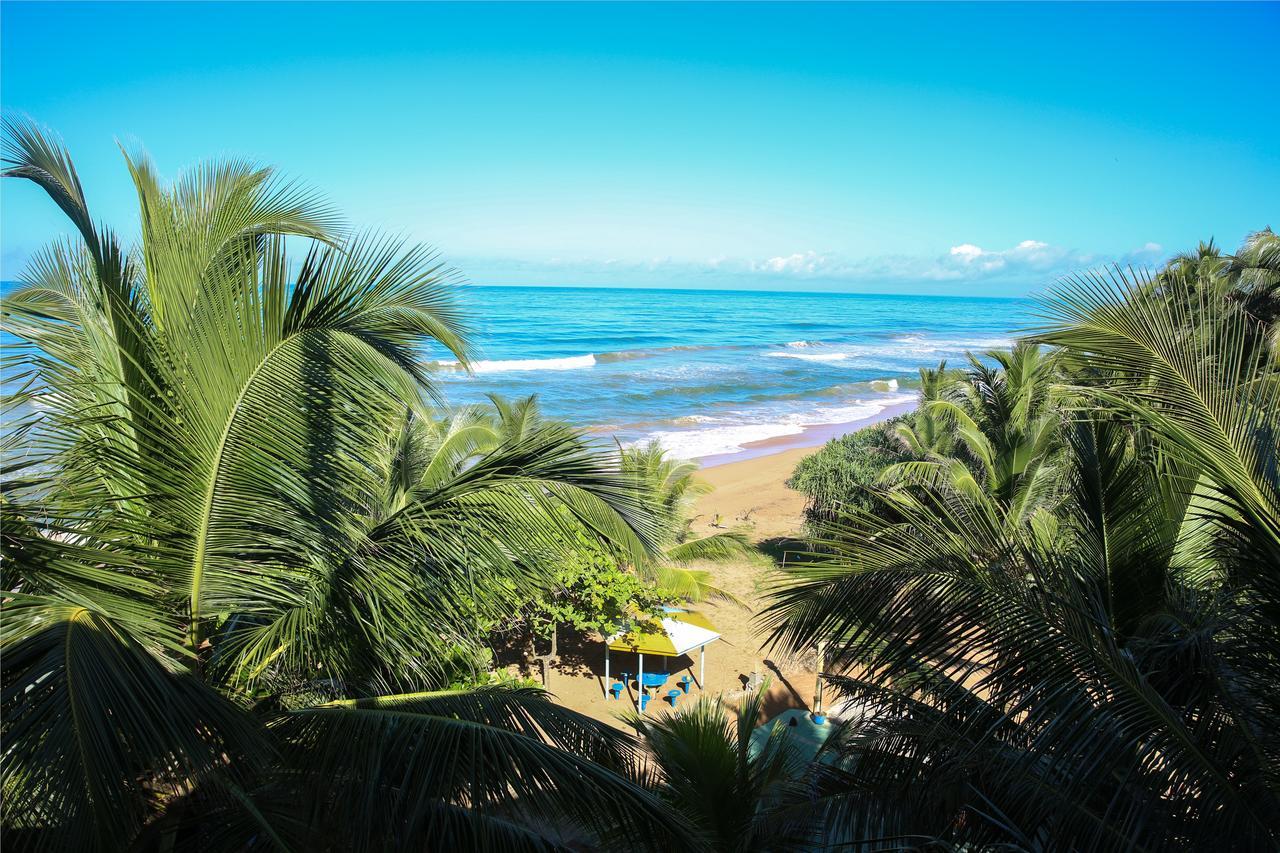 Oasey Ayurveda Hotel Bentota Luaran gambar