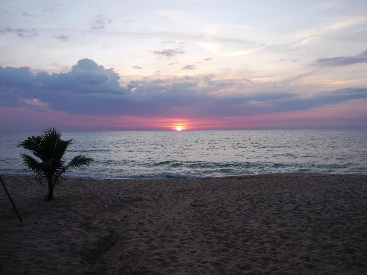 Oasey Ayurveda Hotel Bentota Luaran gambar
